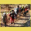 DSCN6774.JPG