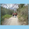 DSCN6971.JPG
