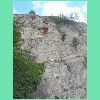 DSCN7317.JPG