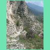 DSCN7363.JPG
