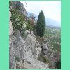 DSCN7372.JPG