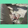 DSCN7381.JPG