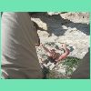 DSCN7383.JPG