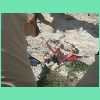 DSCN7384.JPG