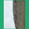 DSCN7516.JPG