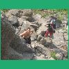 DSCN7520.JPG