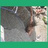 DSCN7536.JPG