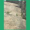 DSCN7581.JPG