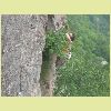 DSCN8428.JPG