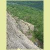 DSCN8441.JPG