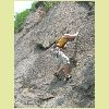 DSCN8463.JPG