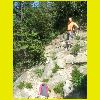 DSCN0018.JPG